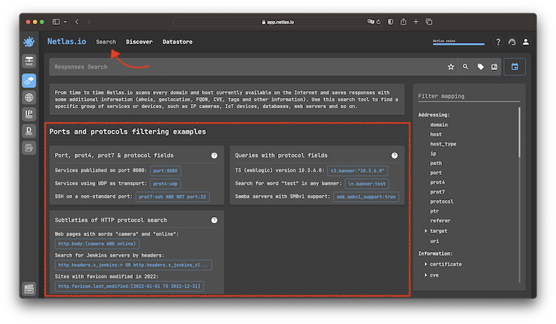 Netlas search tools