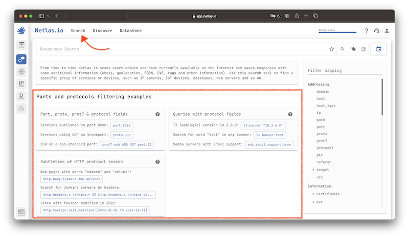 Netlas search tools
